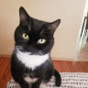 Meet your Posher, Nicole